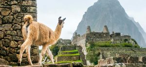 como acceder a Machu Picchu 1 Waman Adventures - como-acceder-a-Machu-Picchu-1-Waman-Adventures