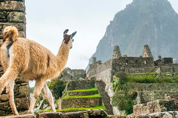 como acceder a Machu Picchu 1 Waman Adventures - ¿Dónde se Encuentra Machu Picchu? Explorando la Icónica Ciudadela Inca