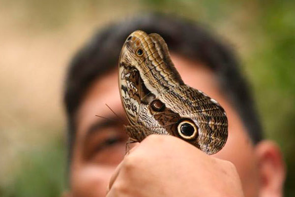 Mariposario de Machu Picchu Waman Adventures 2 - ¿Dónde se Encuentra Machu Picchu? Explorando la Icónica Ciudadela Inca