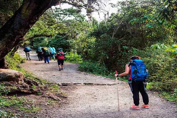Bastones de trekking ¿Son realmente necesarios?