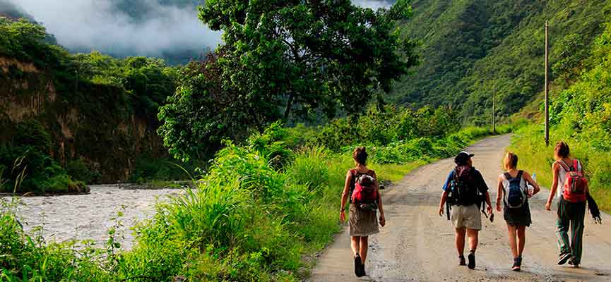 Vive la mejor experiencia con Inka Jungle 1 inca jungle machupicchu Inkatrailbackpacker - Vive la mejor experiencia con Inka Jungle