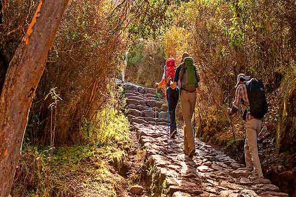 Temporada ideal para hacer el Camino Inca hacia Machu Picchu: Consejos y recomendaciones