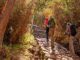Temporada ideal para hacer el Camino Inca hacia Machu Picchu: Consejos y recomendaciones 14 incatrail Inka Trail Backpacker - Temporada ideal para hacer el Camino Inca hacia Machu Picchu: Consejos y recomendaciones