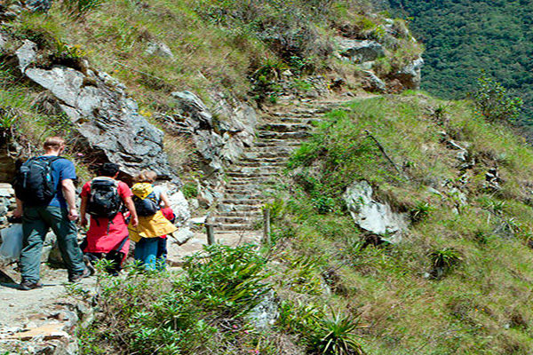 How Hard is the Inca Trail to Machu Picchu? Unraveling the Trekking Challenge 8 Inca Trail IKTBP 67.jpg.optimal - How Hard is the Inca Trail to Machu Picchu? Unraveling the Trekking Challenge