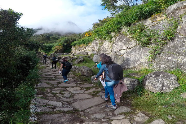 How Hard is the Inca Trail to Machu Picchu? Unraveling the Trekking Challenge 5 camino inca 11 IKTBP - How Hard is the Inca Trail to Machu Picchu? Unraveling the Trekking Challenge