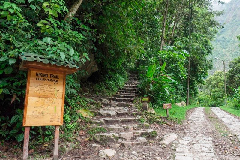 Unveiling the Splendor of Machu Picchu from Aguas Calientes 7 caminata a machupicchu full - Unveiling the Splendor of Machu Picchu from Aguas Calientes