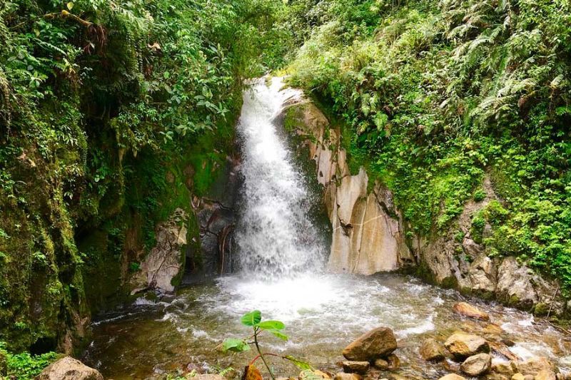 Unveiling the Splendor of Machu Picchu from Aguas Calientes 15 jardin de mandor - Unveiling the Splendor of Machu Picchu from Aguas Calientes