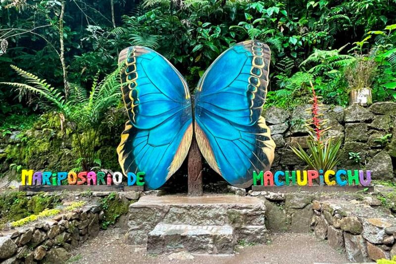 Unveiling the Splendor of Machu Picchu from Aguas Calientes 14 mariposario machu picchu - Unveiling the Splendor of Machu Picchu from Aguas Calientes